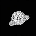The Soleste Empress Ring | 18K Solid Gold 1-Carat Round Brilliant Lab Diamond Halo Engagement Ring with Multi-Row Pave Band